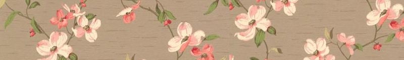 cherry-blossom wide.jpg cherry-blossom.jpg